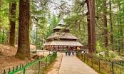 6night 7days Manali,Dharamshala,Dalhousie Short Heaven Himachal Fmaily Tour Package