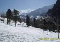 Himachal New Year Romantic Package