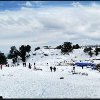 6 night 7  Day Shimla Manali Package