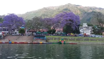 Packages in Mukteshwar