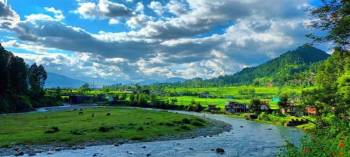 Packages in Ranikhet