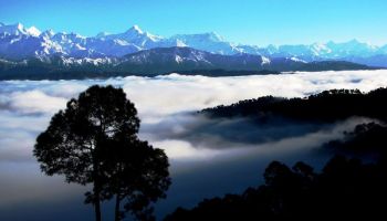 Packages in Ranikhet