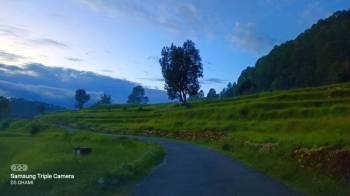 Packages in Binsar