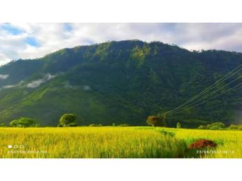 Packages in Ranikhet