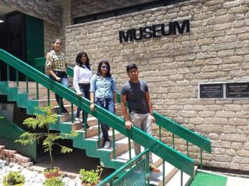 Packages in Binsar