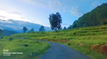 Packages in Ranikhet
