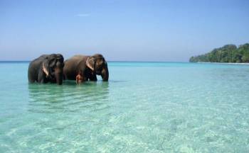 Andaman and Nicobar 4 Night 5 Day Package