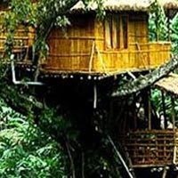 Periyar Tour with Treehouse