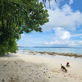 Andaman Tour 2026