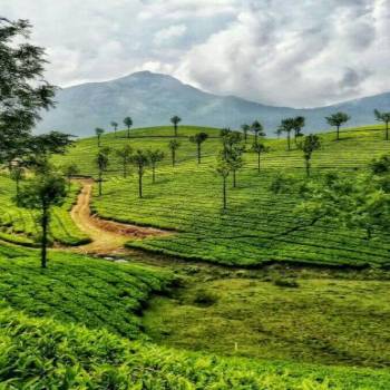 Diwali vacation in Kerala