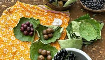 Malvan Group Tour – 3 Nights / 4 Days