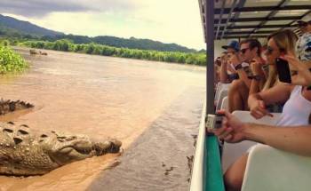 Crocodile Trip