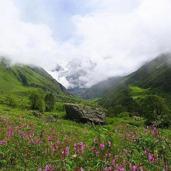 Valley Of Flowers Trekking Tours Package
