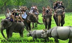 Kaziranga Tour Packages