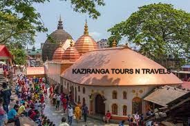 Kaziranga Tour Packages