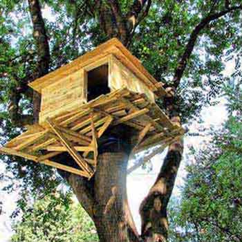 Periyar Tour With Treehouse Package