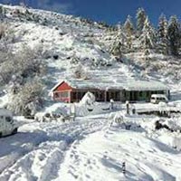Auli Tour Packages