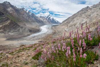 Kargil Tour Packages