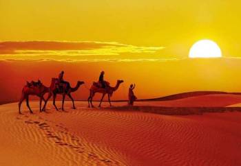 Royal Rajasthan Educational Tour 10 Days / 9 Nights