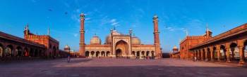 Old Delhi Highlight Half Day Tour
