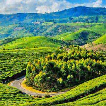 Coonoor with Ooty Tour