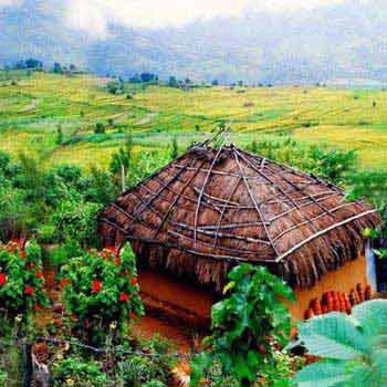 Kerala Tour