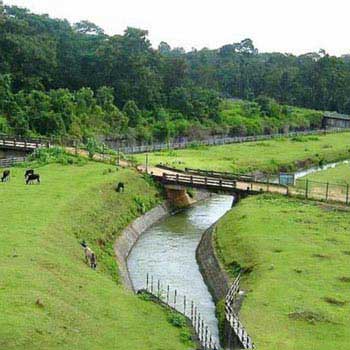 Incredible Coorg Tour