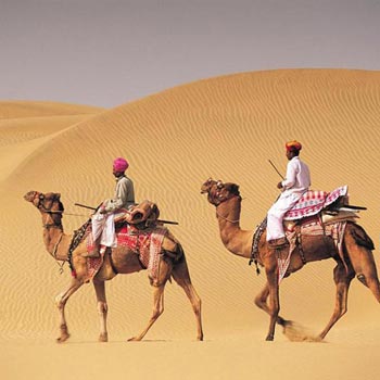 Glimpses of Mewar Tour