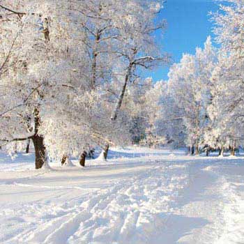 Auli Holiday Package