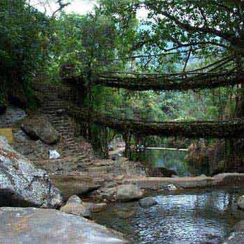 North East with Cherrapunji Tour