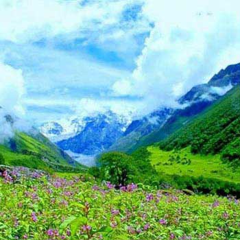 Valley of Flowers Trek 2018 Package