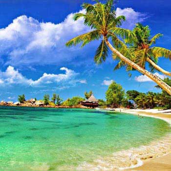Discover Andaman With Neil Island Package