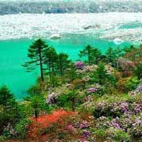 Darjeeling Gangtok Kalimpong Tour