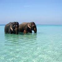 Andaman With Neil Island Tour