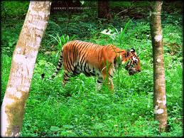 Mangalore Industrial Visit (2n/3d) Tour