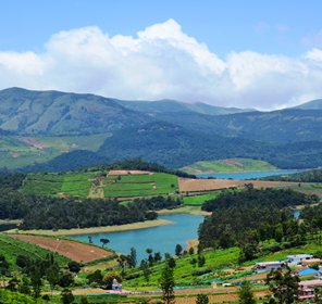 3n4d Ooty Honeymoon Package