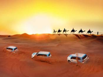Desert Safari with BBQ Dinner