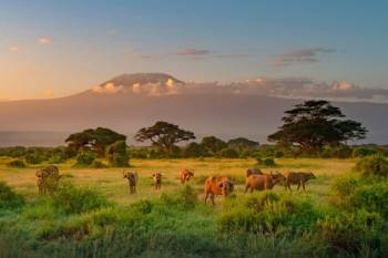 3 Days Amboseli Nation Park Tour