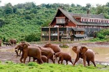 2 Days Private Classic Aberdare Safari Tour