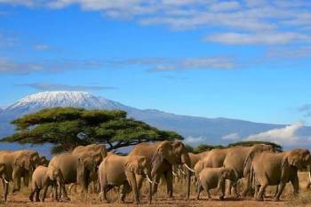 6 Days Kenyan Classic Luxury Tour