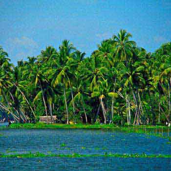 03 Nights /  04 Days Kerala Tour Package