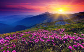 3 Days Ooty Tour Package