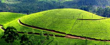 3 N / 4 D Kerala Tour Package - Delux