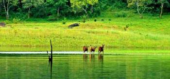 05 NIGHTS / 06 DAYS DELUX KERALA TOUR PACKAGE