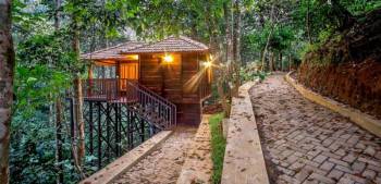 02 NIGHTS / 03 DAYS WAYANAD WITH THE TURMERICA ( TREE HOUSE ) TOUR PACKAGE