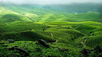 Wecome 2020 from the Most Beautiful Hillstation of Kerala - Munnar Tour