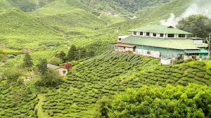 Munnar Tour 3N 4D
