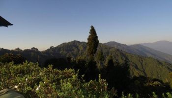 Packages in Yumthang