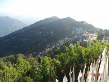 Packages in Pelling