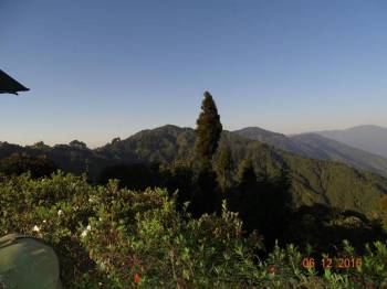 Packages in Pelling
